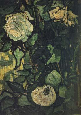 Vincent Van Gogh Roses and Beetle (nn04) Germany oil painting art